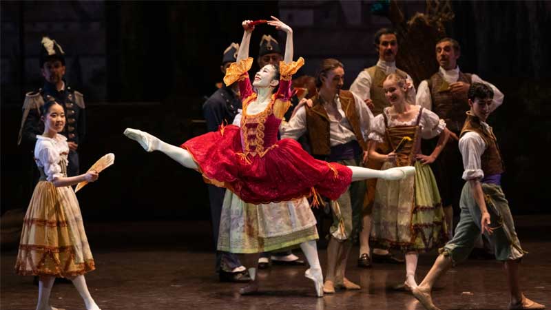 رقص باله دون کیشوت (۲۰۲۴)